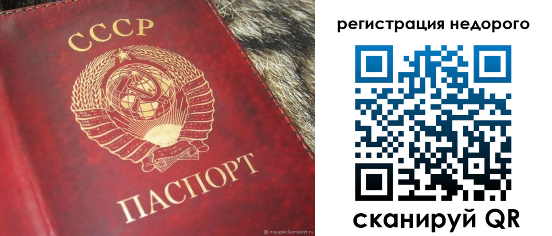 прописка ребенка в Кукморе